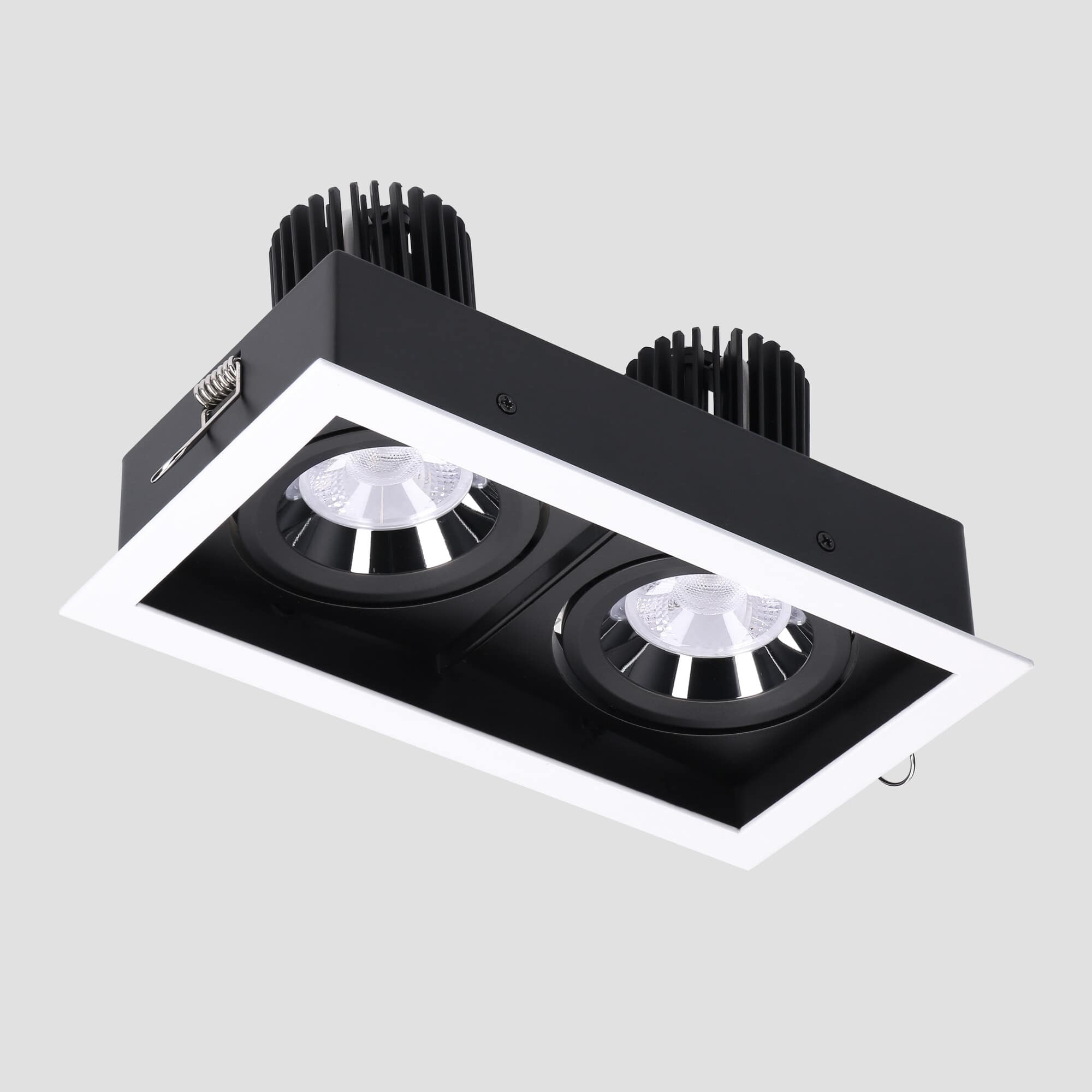 LEDS C4 Multidir Evo Big Double Downlight Laser Lighting